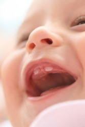 The mouth is an orifice. The mouth is an orifice.
