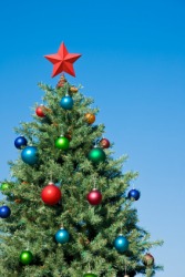 A Christmas tree covered with ornaments. A Christmas tree covered with ornaments.