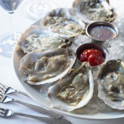A plate of oysters on ice. A plate of oysters on ice.