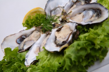 A plate of Pacific oysters. A plate of Pacific oysters.