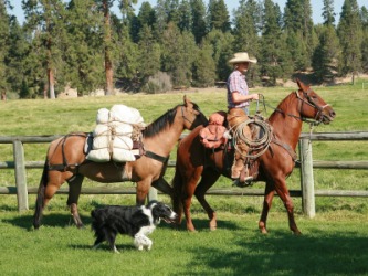 A rider leads a packhorse. A rider leads a packhorse.