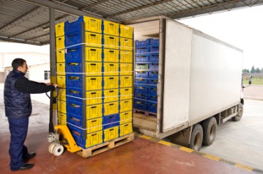 Plastic crates have been palletized for easier handling. Plastic crates have been palletized for easier handling.