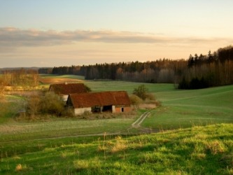 A lovely pastoral scene. A lovely pastoral scene.