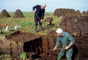 Men digging peat for fuel. Men digging peat for fuel.