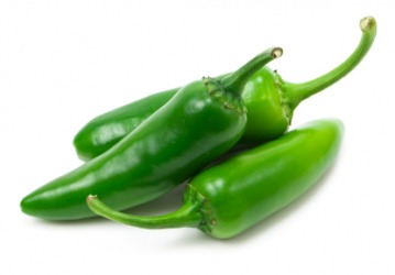 A group of fresh jalapeno peppers. A group of fresh jalapeno peppers.