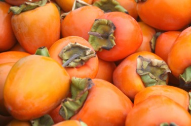 A pile of persimmons. A pile of persimmons.