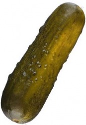 A pickle. A pickle.