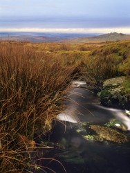 A quag in Dartmoor. A quag in Dartmoor.