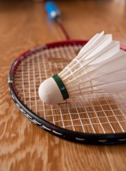 A badmintion shuttlecock and racket. A badmintion shuttlecock and racket.