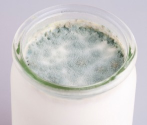 A bottle of rancid milk. A bottle of rancid milk.