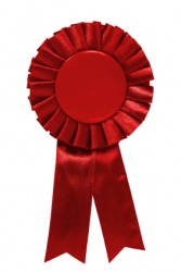 The red ribbon award. The red ribbon award.