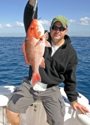 A fresh caught red snapper. A fresh caught red snapper.
