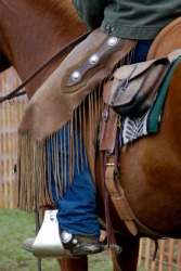 A saddlebag on a horse. A saddlebag on a horse.