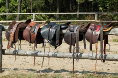 The products of a saddlery. The products of a saddlery.