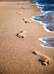 Footprints in the sand on a beach. Footprints in the sand on a beach.