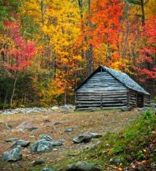 A cabin in a secluded area. A cabin in a secluded area.
