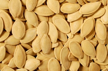 Pumpkin seeds have seed coats. Pumpkin seeds have seed coats.