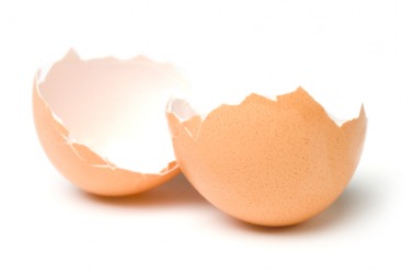 This empty shell once contained an egg. This empty shell once contained an egg.