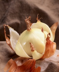 An onion has had it's skin pulled away. An onion has had it's skin pulled away.