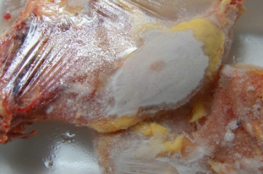Frozen chicken set out to thaw. Frozen chicken set out to thaw.