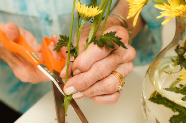A woman trims flowers to make an arrangement. A woman trims flowers to make an arrangement.