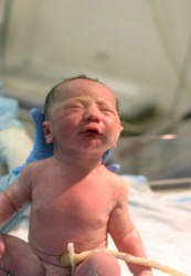 A newborn baby with umbilical cord still attached. A newborn baby with umbilical cord still attached.