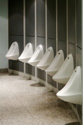 A row of urinals. A row of urinals.