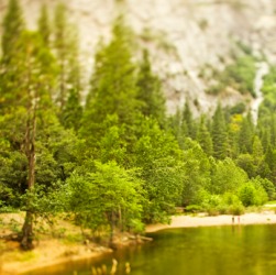 A vale in Yosemite. A vale in Yosemite.