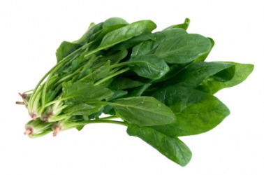 Spinach is an example of a vegetable. Spinach is an example of a vegetable.