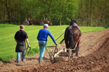 Farmers at work. Farmers at work.