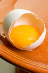 An egg yolk nestled in its shell. An egg yolk nestled in its shell.
