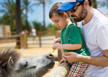 A father and son at the zoo. A father and son at the zoo.
