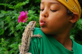 agama