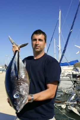 albacore