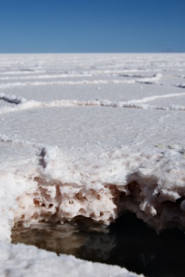 alkali flat