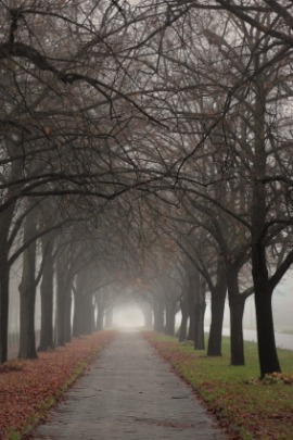 allée