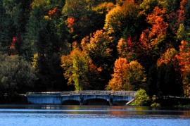 Allegheny