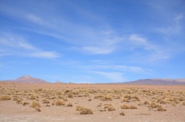 altiplano