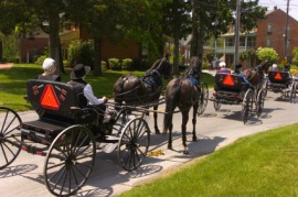 Amish