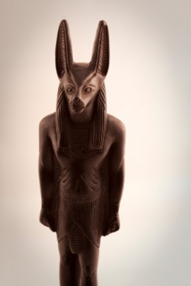 Anubis