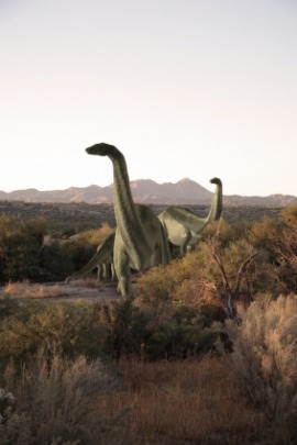 apatosaurus