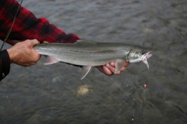 nancy spungen replica gun necklace charm