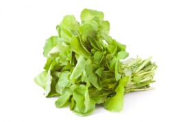 arugula