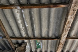 asbestos