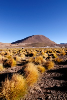 Atacama Desert