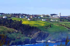 Avalon Peninsula