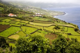 Azores