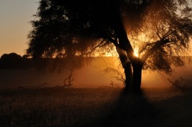 backlight