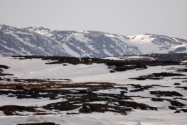 Baffin