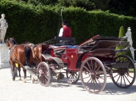 barouche